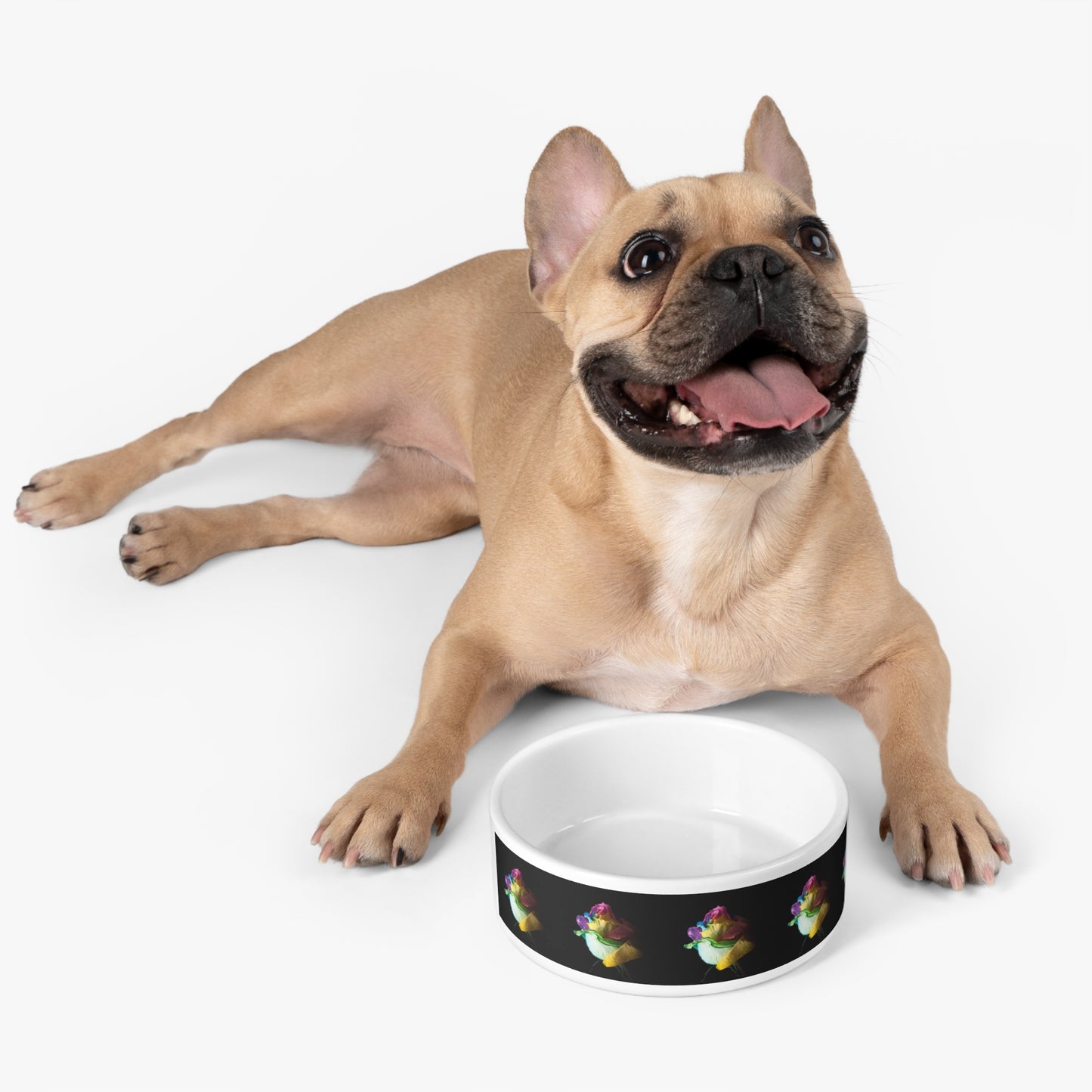 Pet Bowl - Rainbow Rose Design