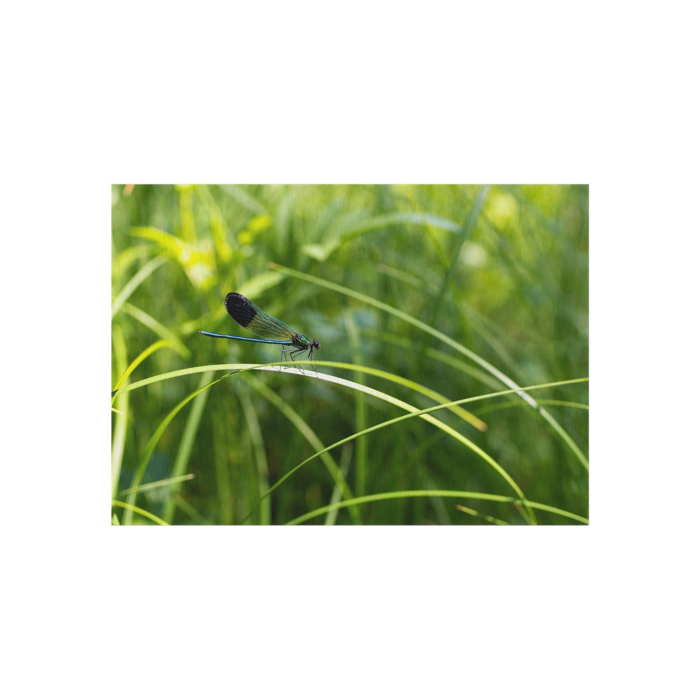 Dragonfly Meadow Outdoor Rug — Green Grass Nature Patio Mat