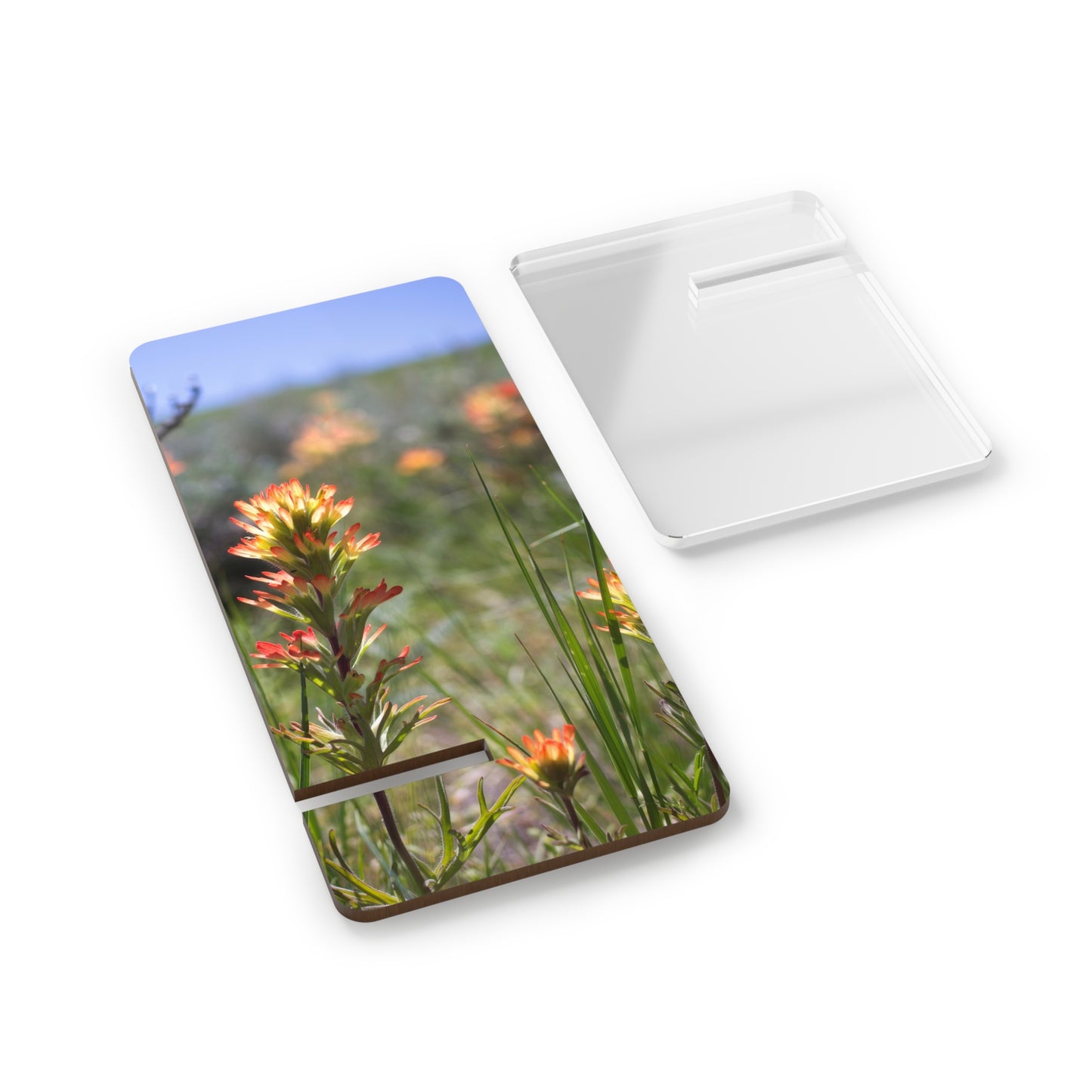 Phone Stand — Indian Paintbrush Smartphone Display Stand