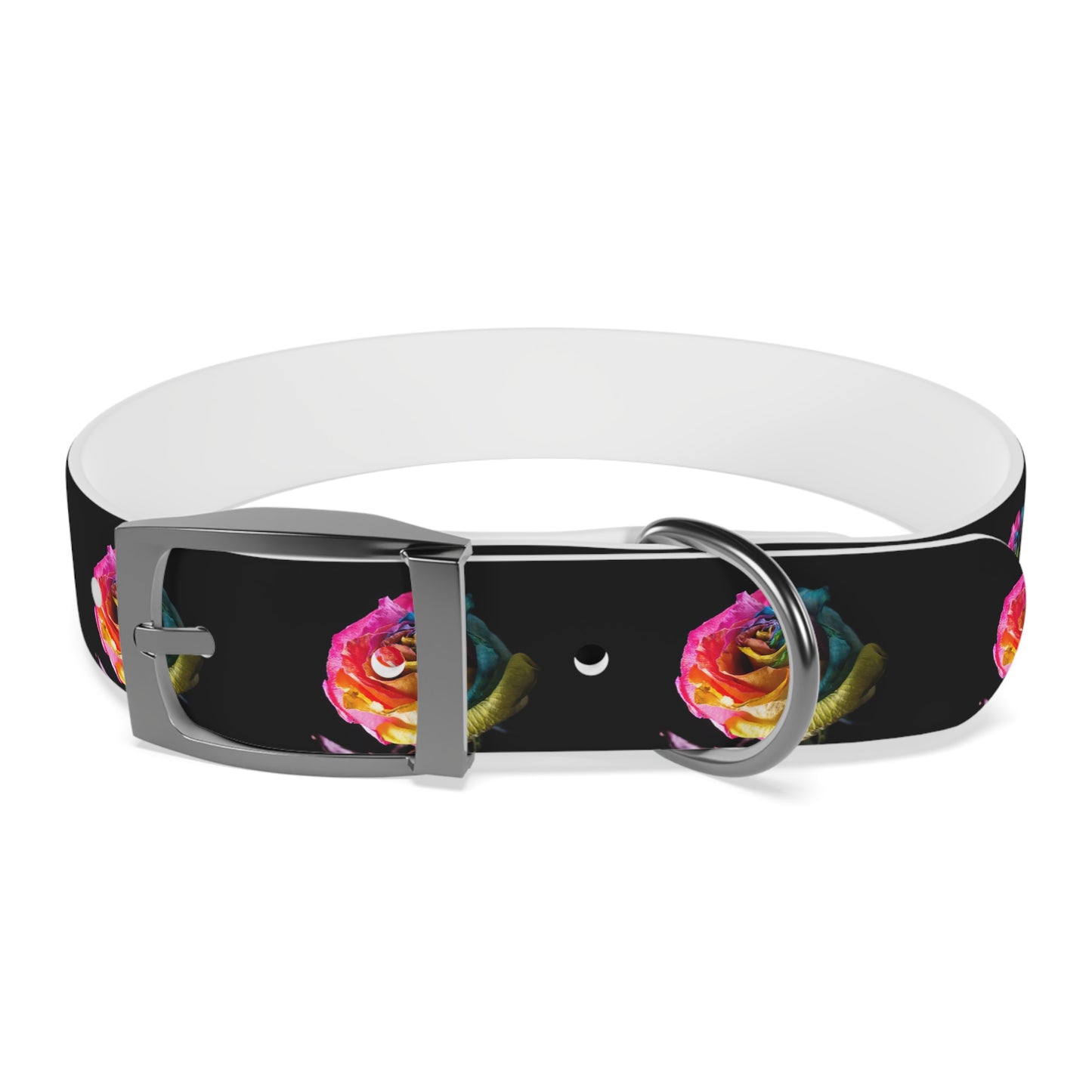 Rainbow Rose Dog Collar — Colorful Floral Pet Collar on Black