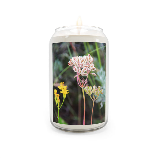 Wildflower Garden ~ Scented Soy Candle — 13.75 oz