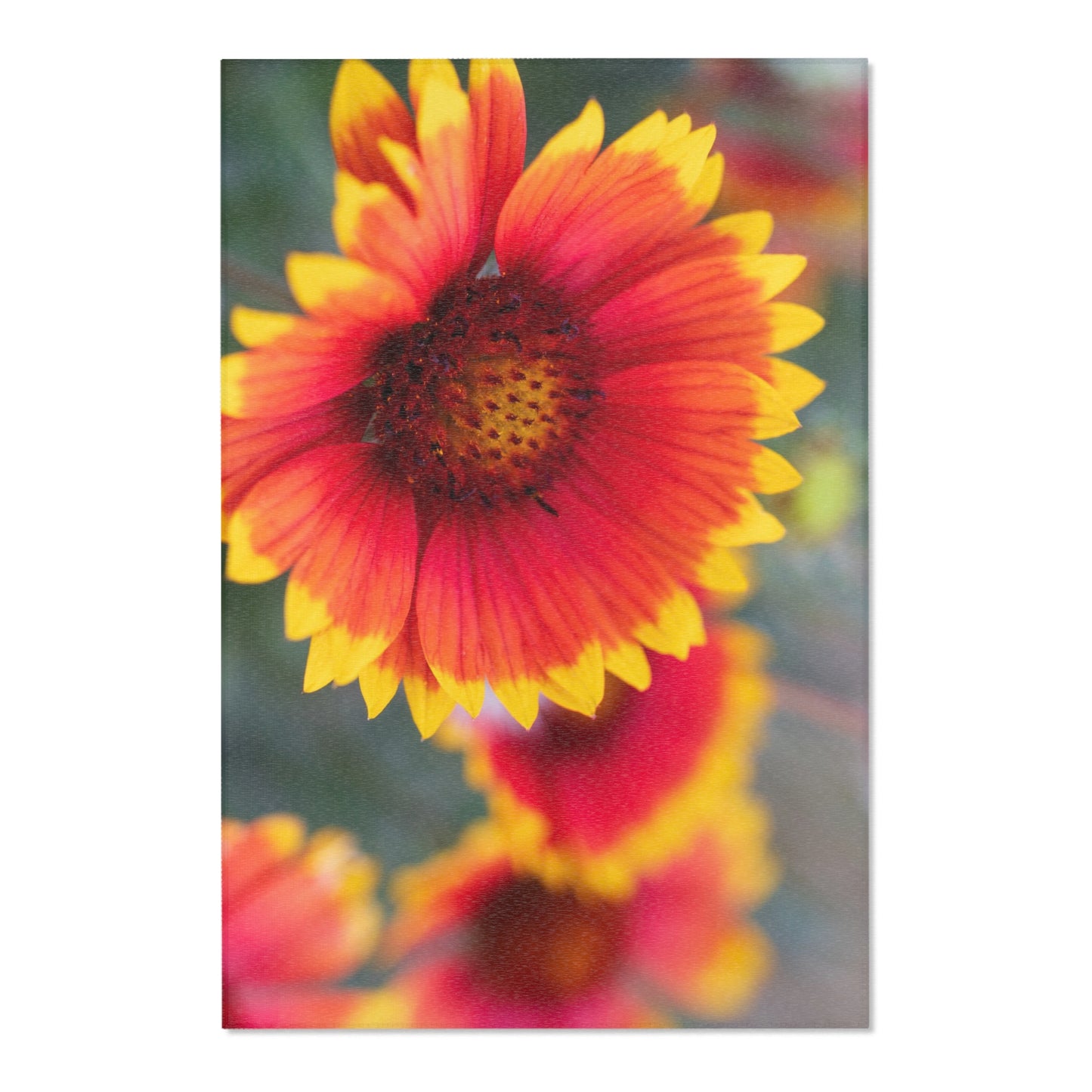 Floral Sunburst Area Rug — Vibrant Red & Yellow Gaillardia Accent Rug