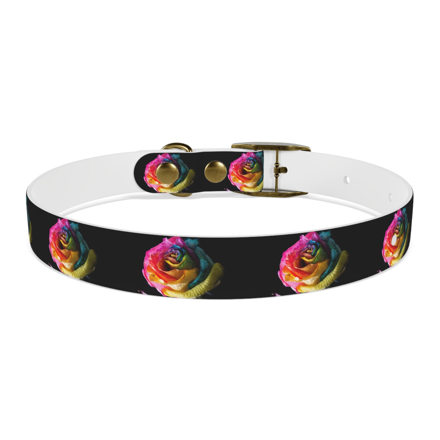 Rainbow Rose Dog Collar — Colorful Floral Pet Collar on Black