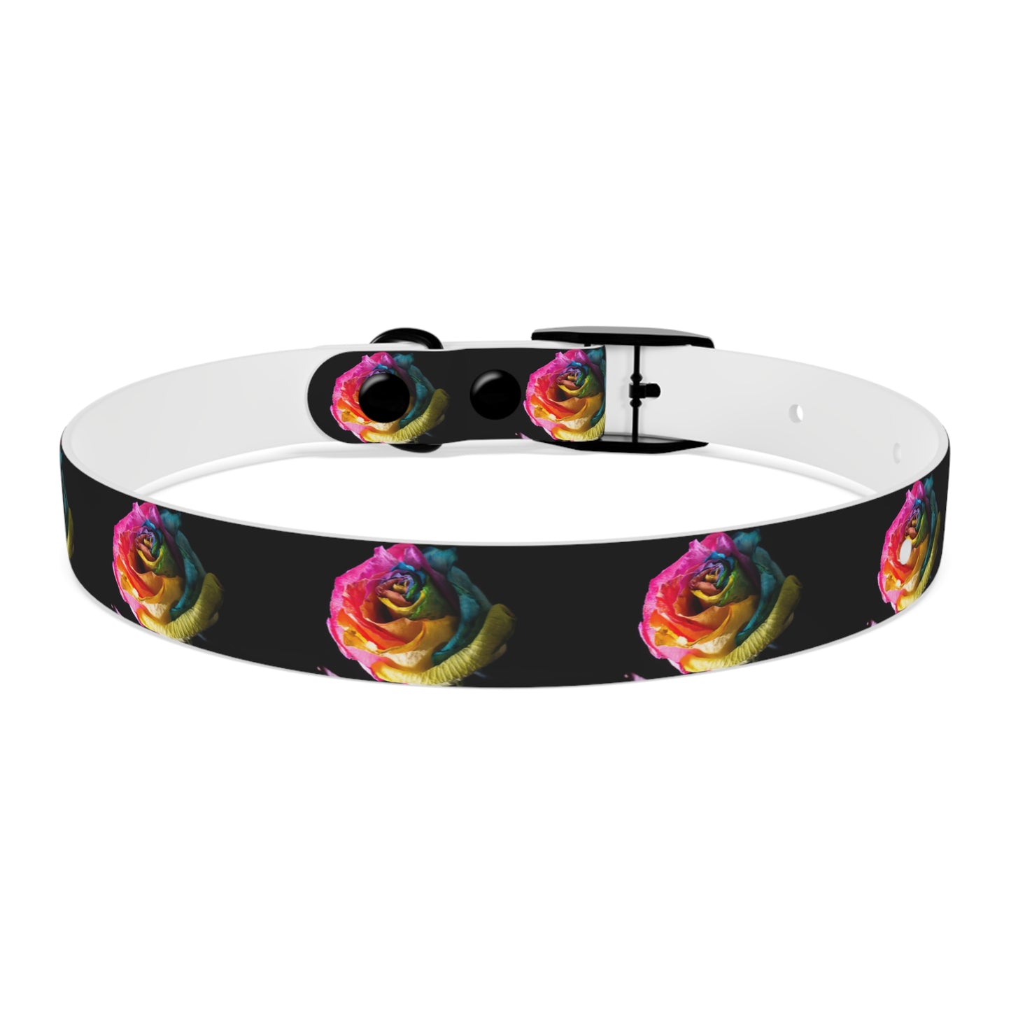 Rainbow Rose Dog Collar — Colorful Floral Pet Collar on Black