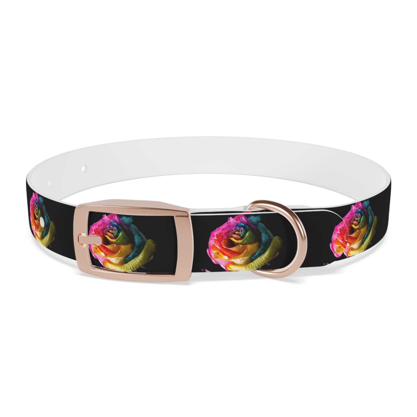 Rainbow Rose Dog Collar — Colorful Floral Pet Collar on Black