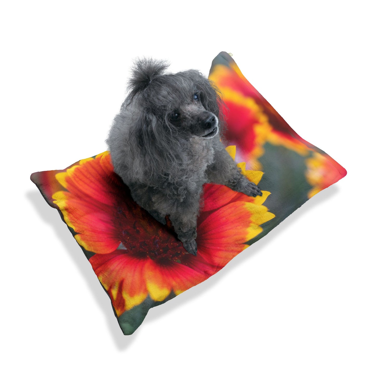 Floral Sunflower Pet Bed — Plush Red & Yellow Blanket for Dogs & Cats