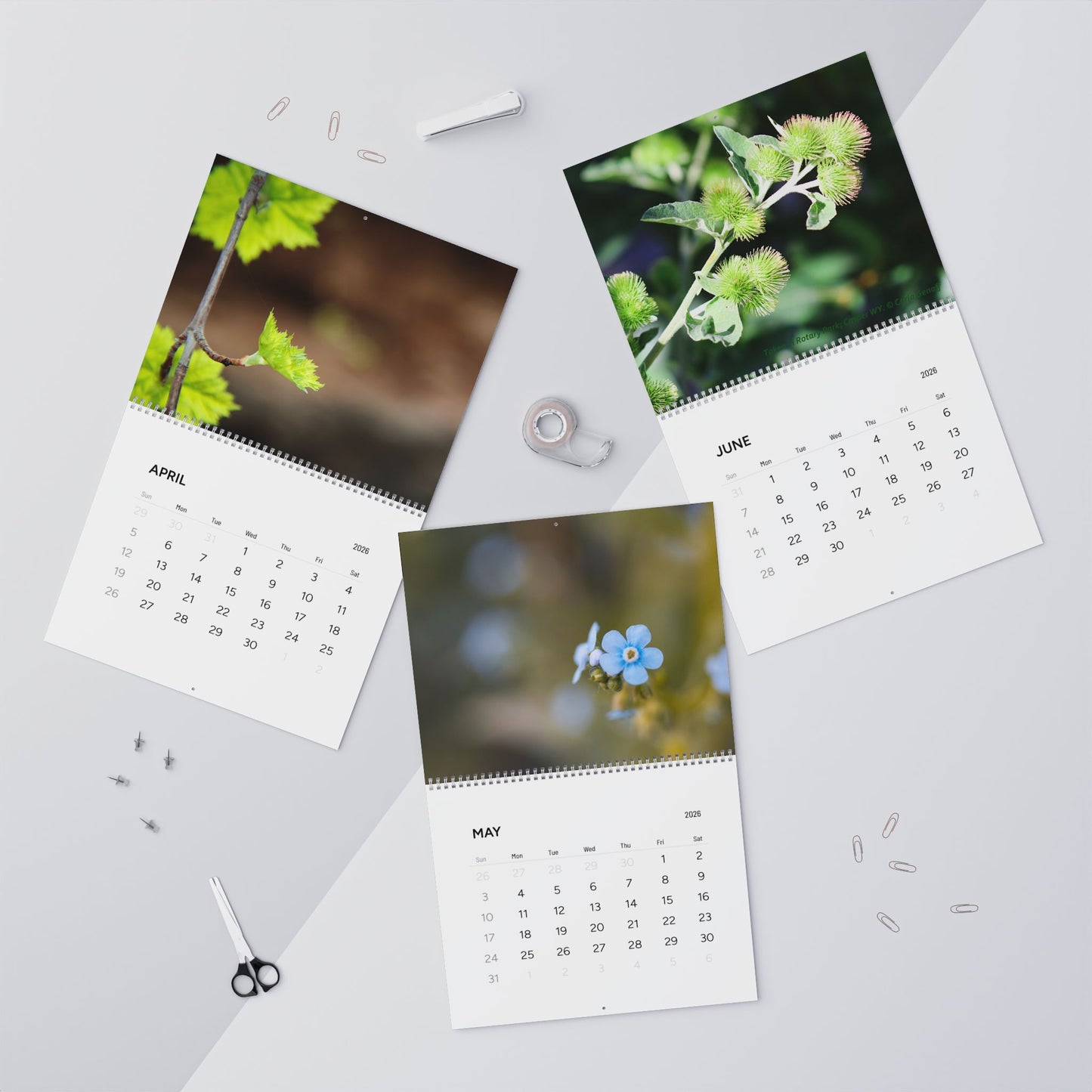 2026 Nature Photo Wall Calendar – Scenic Seasonal Landscape & Floral Monthly Planner