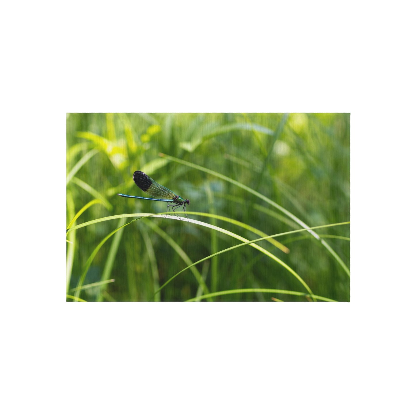 Dragonfly Meadow Outdoor Rug — Green Grass Nature Patio Mat