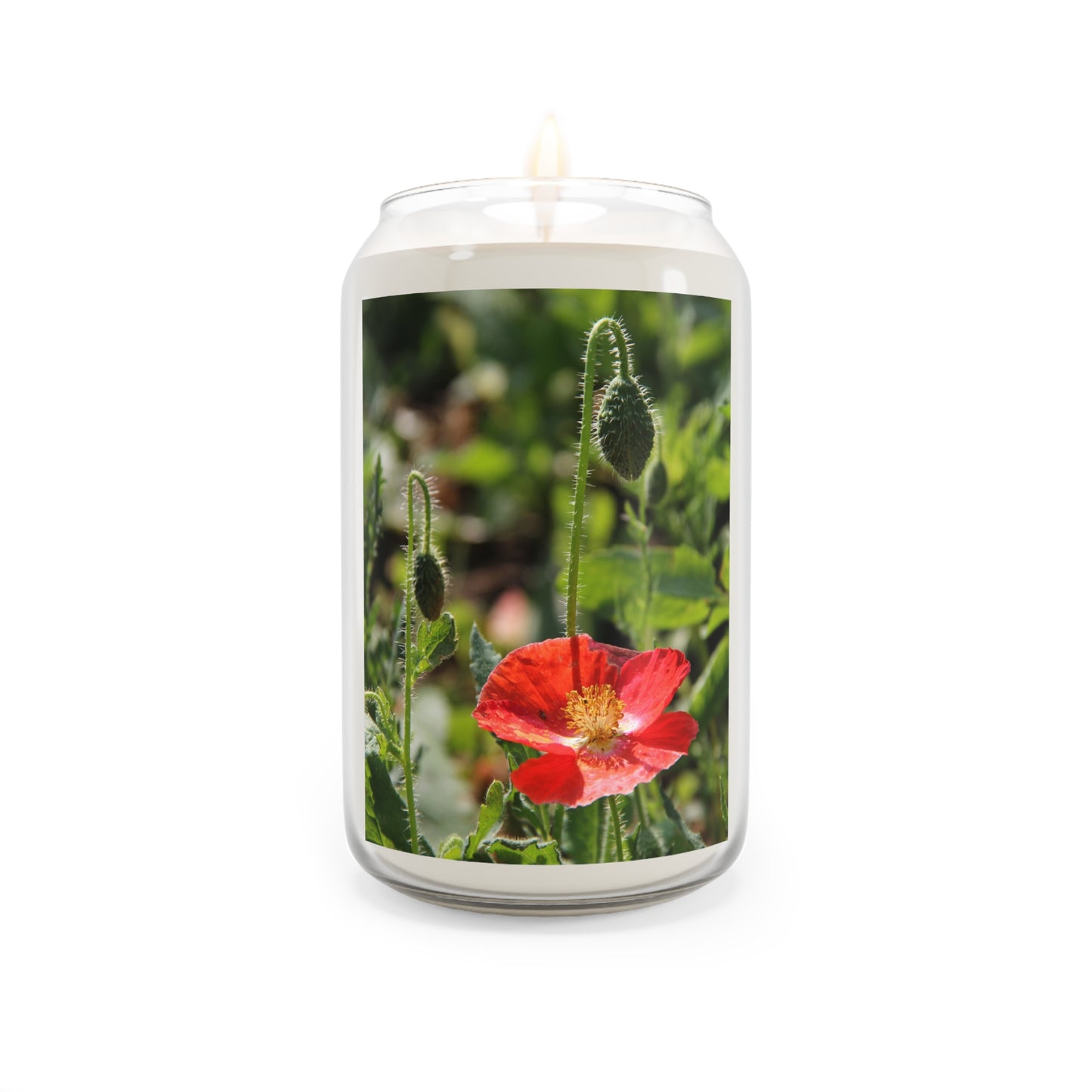Poppy Meadow ~ Scented Soy Candle — 13.75oz Aromatic Floral Candle