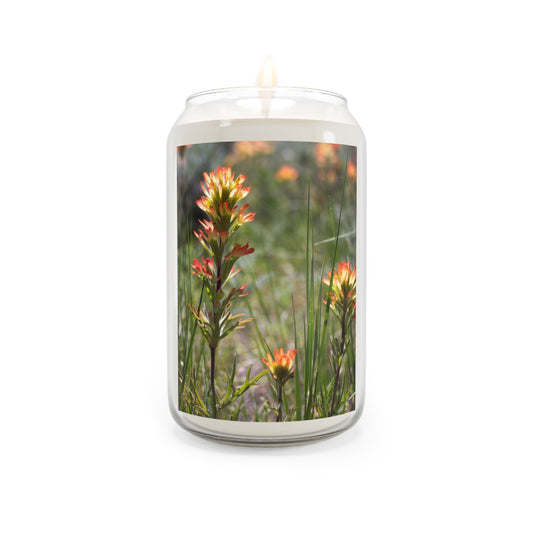 Wildflower Meadow Scented Soy Candle — 13.75 oz