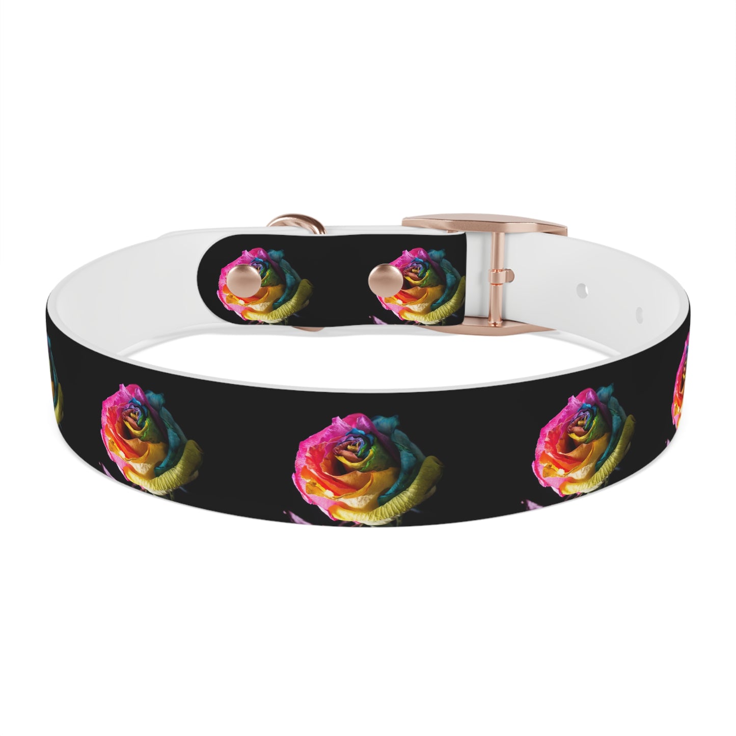 Rainbow Rose Dog Collar — Colorful Floral Pet Collar on Black