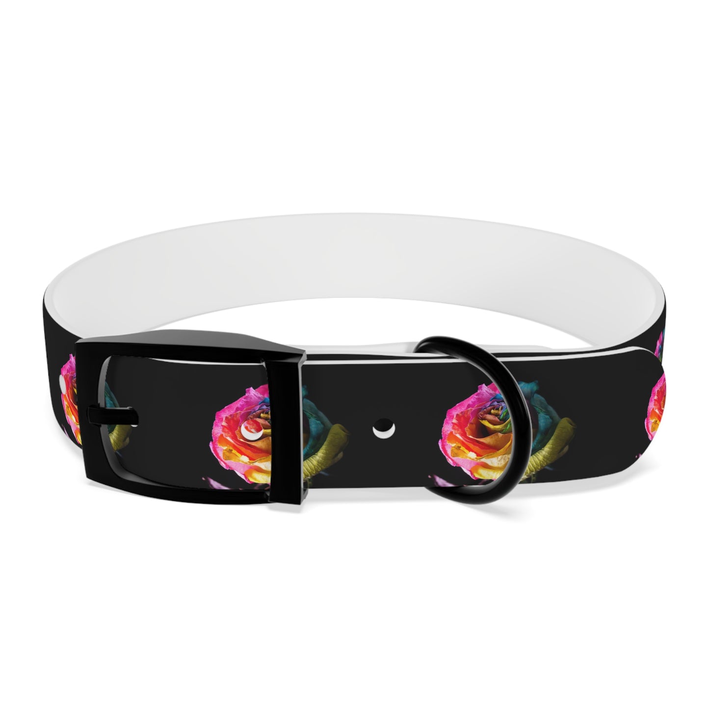 Rainbow Rose Dog Collar — Colorful Floral Pet Collar on Black