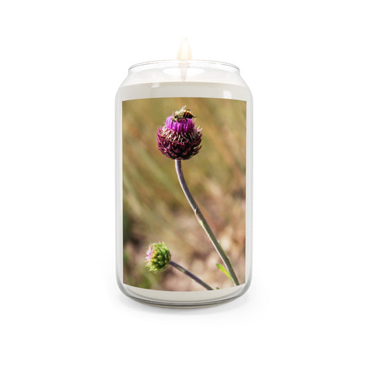 Soy Candle – Wild Thistle Scented 13.75oz