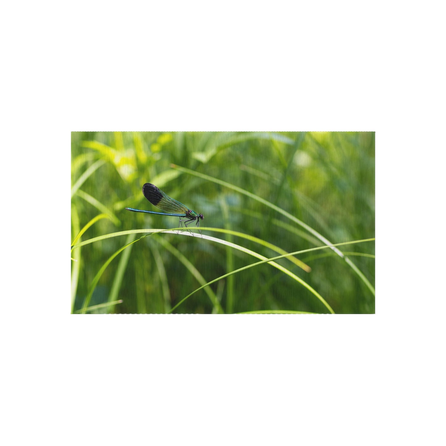 Dragonfly Meadow Outdoor Rug — Green Grass Nature Patio Mat