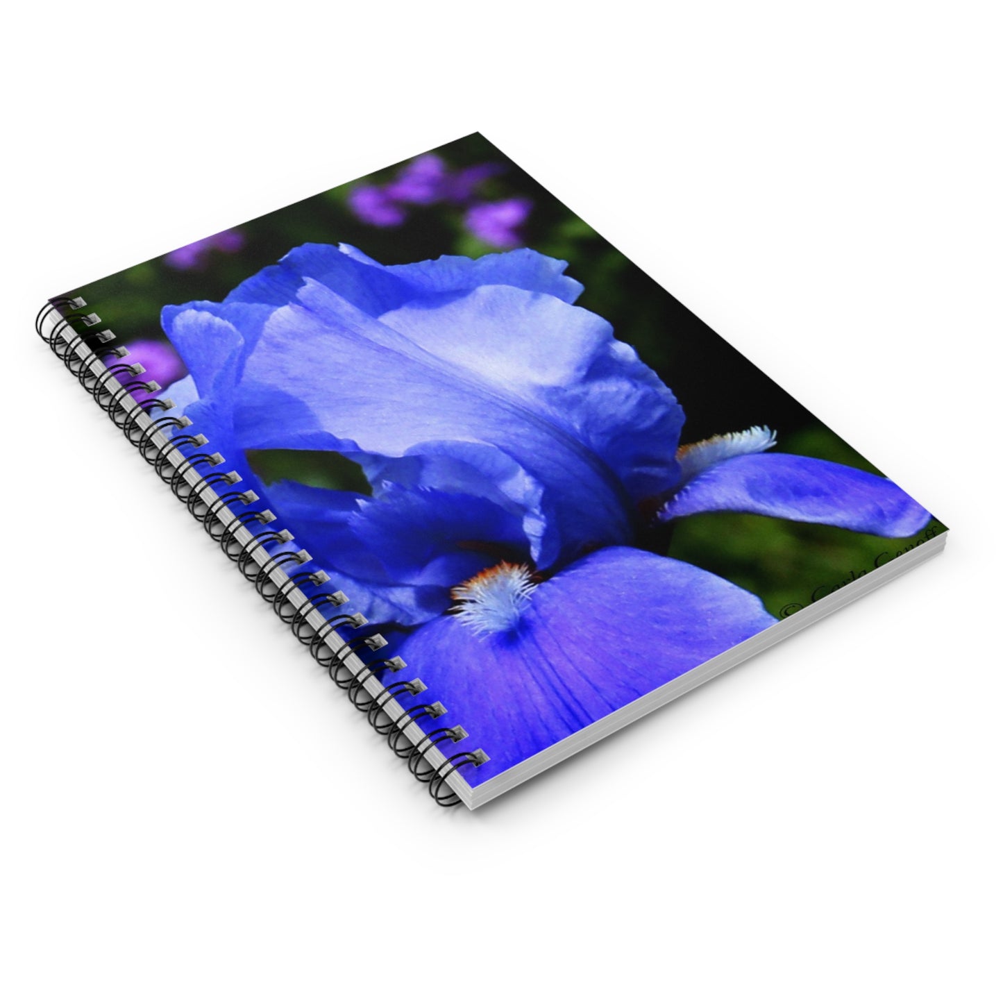 Blue Iris Spiral Notebook – Floral Ruled Journal for Botanists & Gardeners