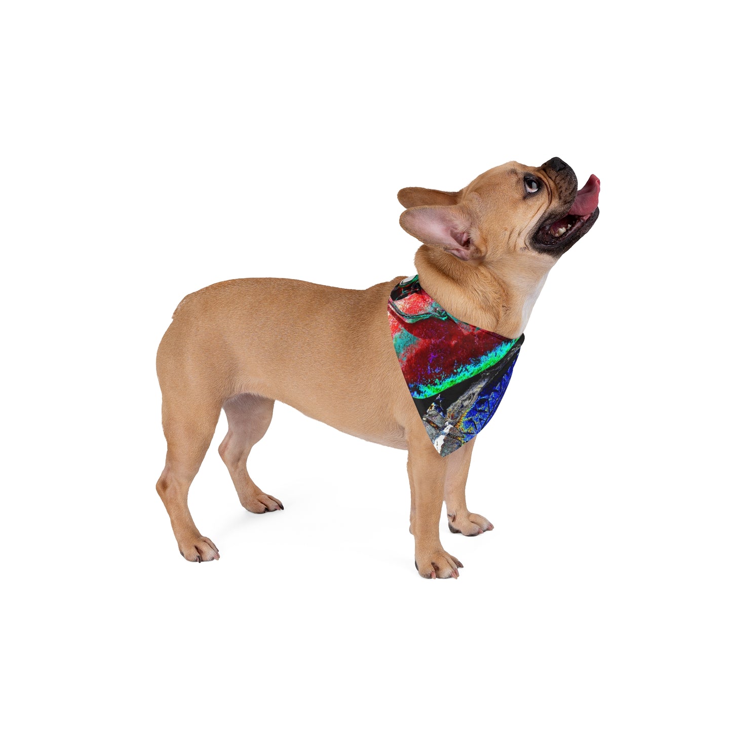 Abstract Color Splash Pet Bandana — Vibrant Multicolor Dog & Cat Scarf