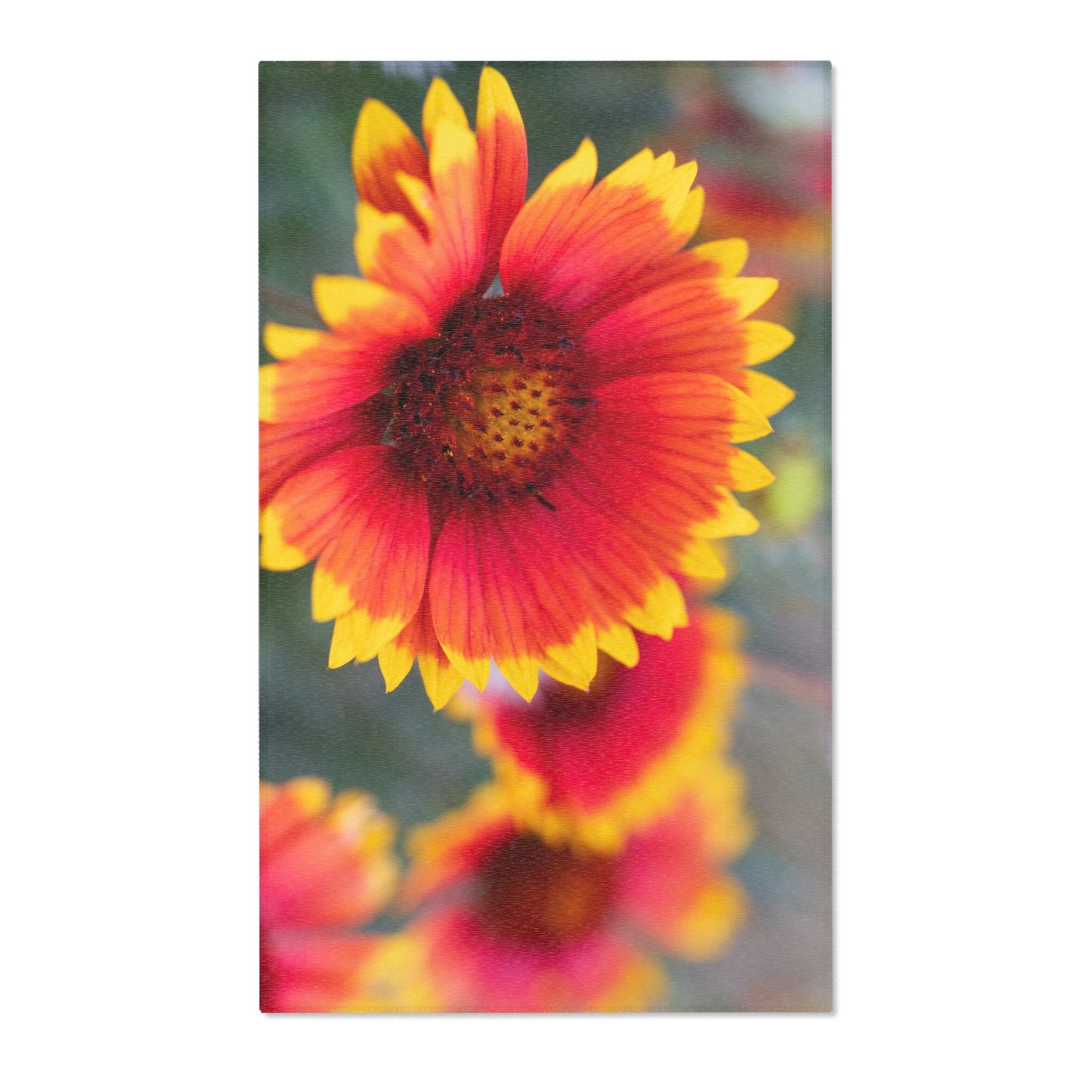 Floral Sunburst Area Rug — Vibrant Red & Yellow Gaillardia Accent Rug