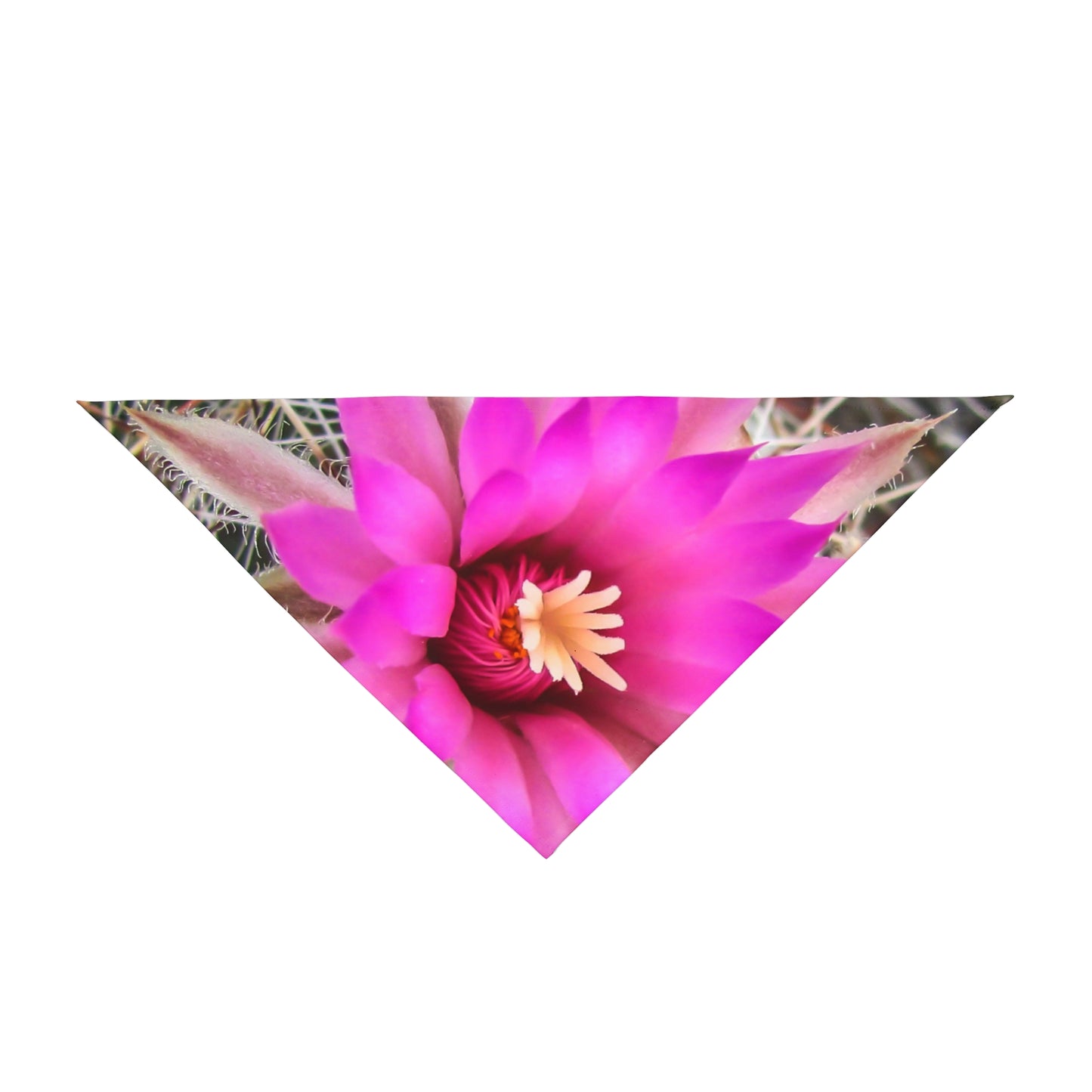 Pink Cactus Bloom Pet Bandana — Floral Dog & Cat Scarf