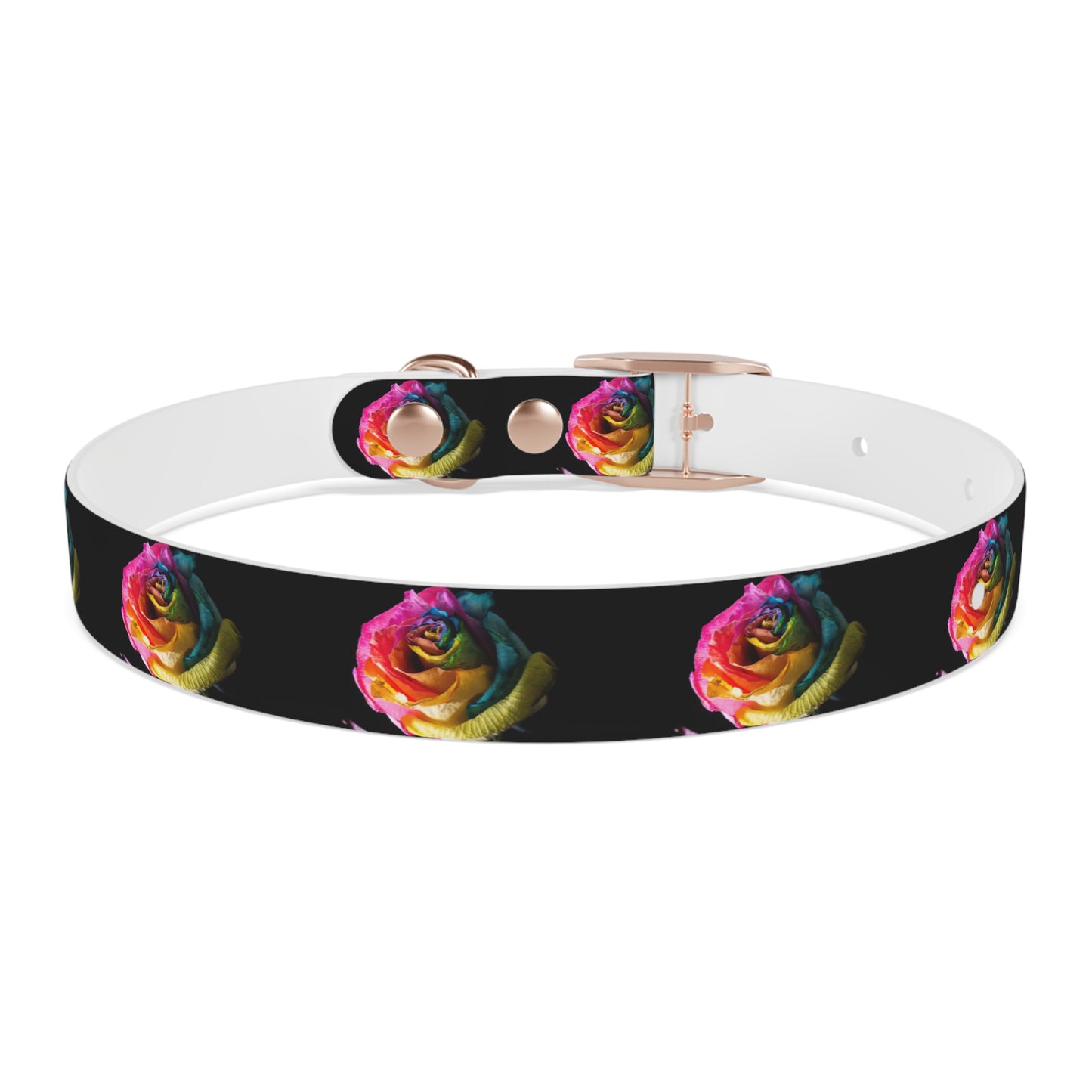 Rainbow Rose Dog Collar — Colorful Floral Pet Collar on Black