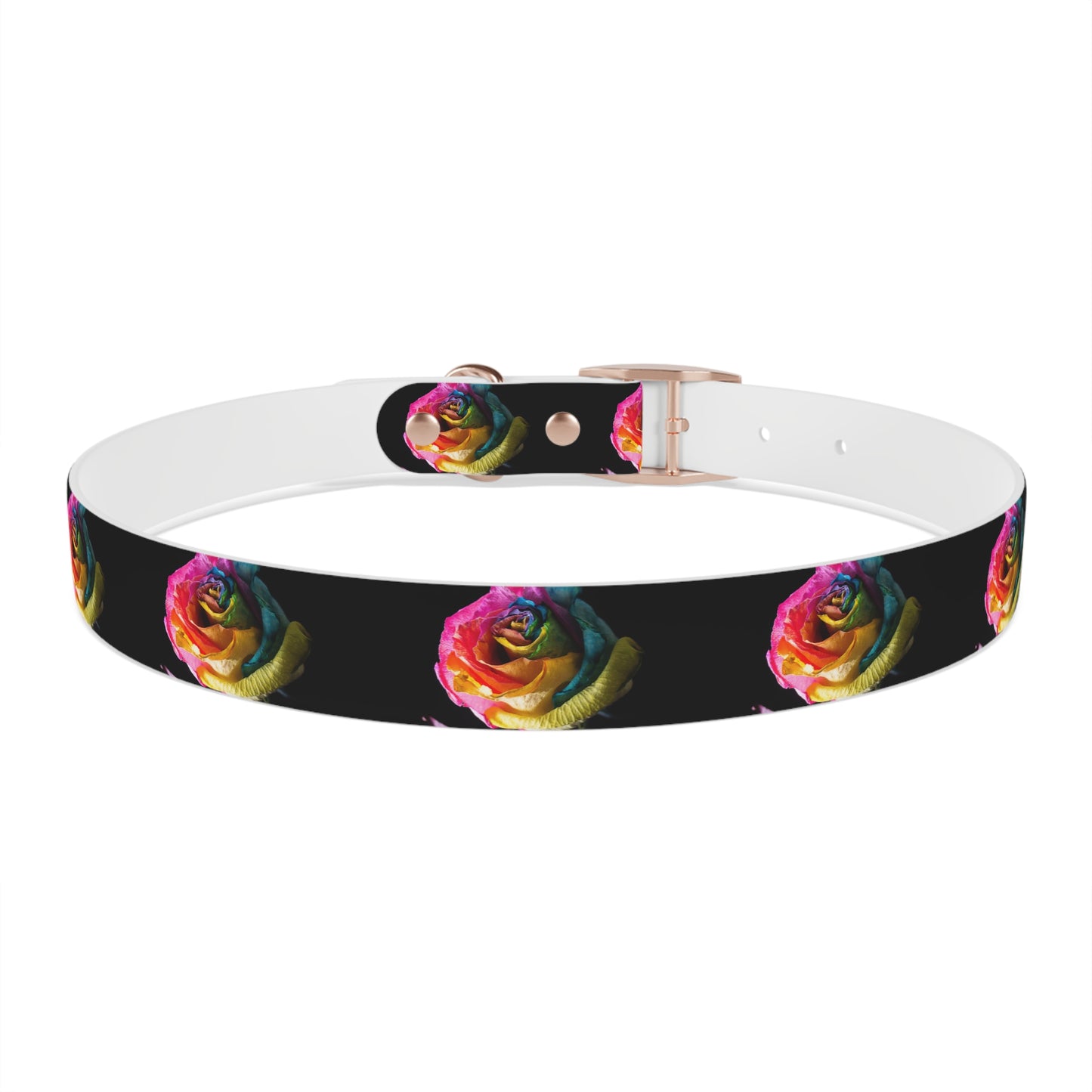 Rainbow Rose Dog Collar — Colorful Floral Pet Collar on Black