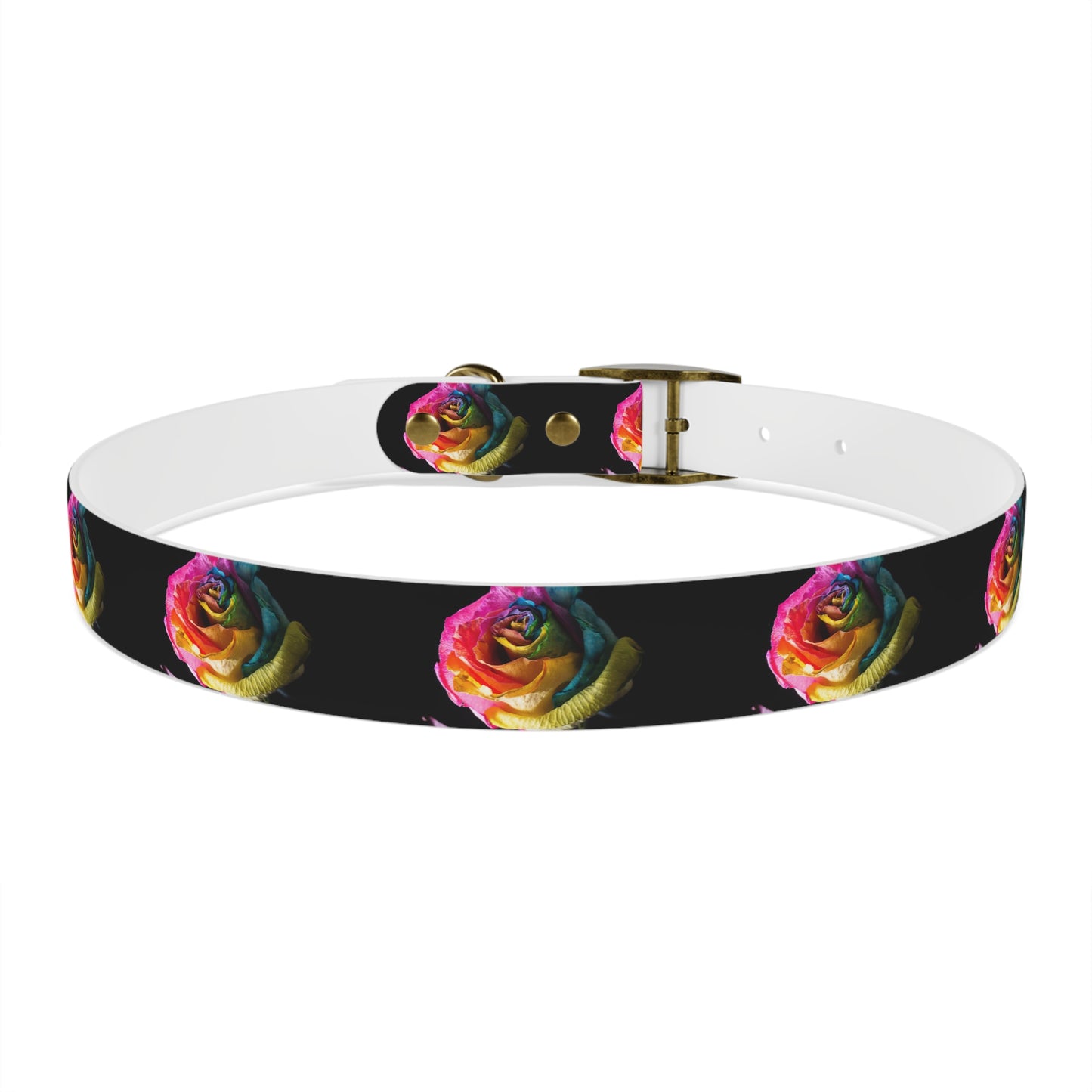 Rainbow Rose Dog Collar — Colorful Floral Pet Collar on Black