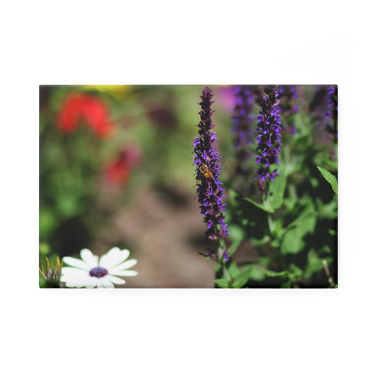Floral Garden Rectangle Magnet — Purple Salvia & Daisy Photo Refrigerator Magnet