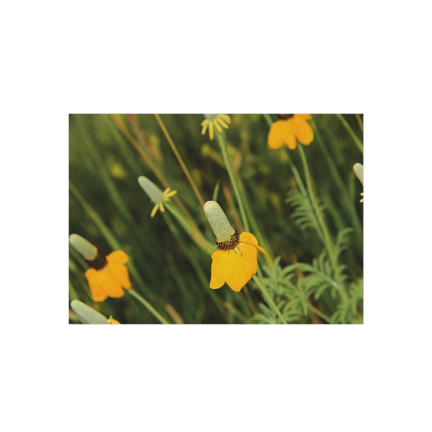 Yellow Wildflower Outdoor Rug — Floral Patio Mat for Porch & Garden