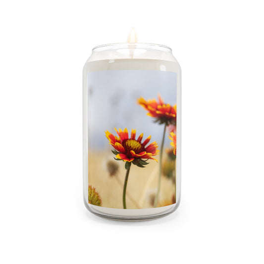 Wildflower Field ~ Scented Soy Candle — 13.75 oz Aromatherapy Candle
