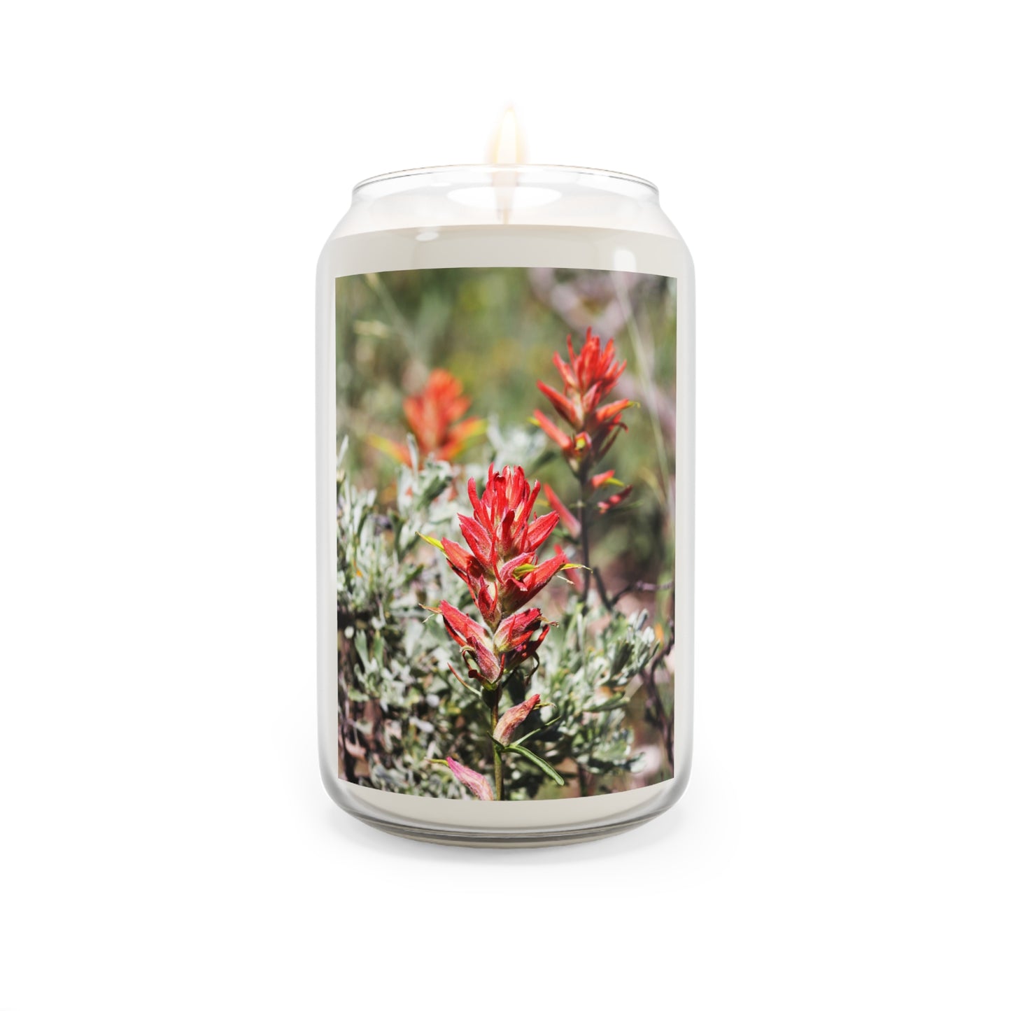 Indian Paintbrush ~ Scented Soy Candle — 13.75oz