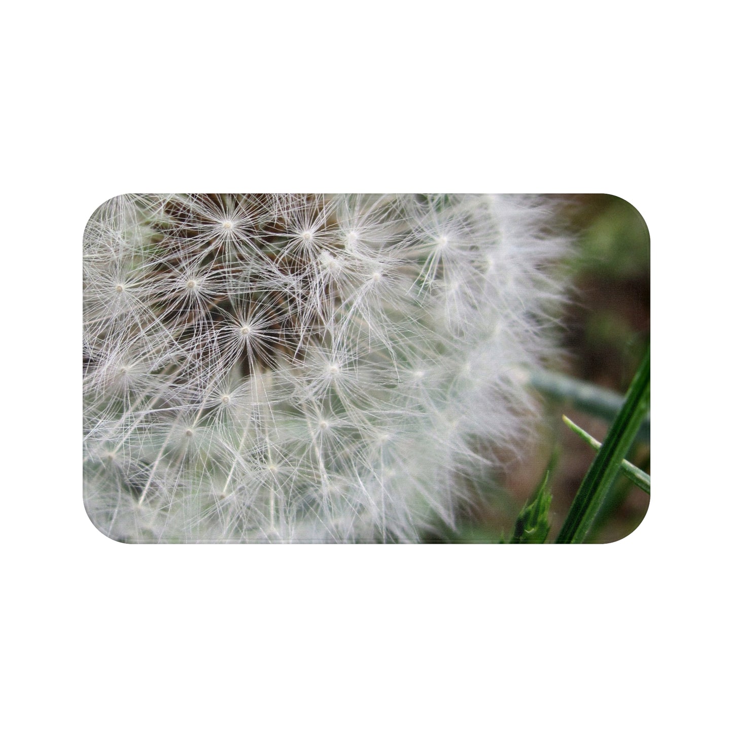 Dandelion Close-Up Bath Mat — Soft Botanical Nature Bathroom Rug