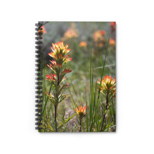 Spiral Notebook — Wildflower Indian Paintbrush Photo Ruled Journal