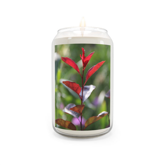 Botanical Red Leaf Scented Soy Candle — 13.75oz Aromatherapy Candle