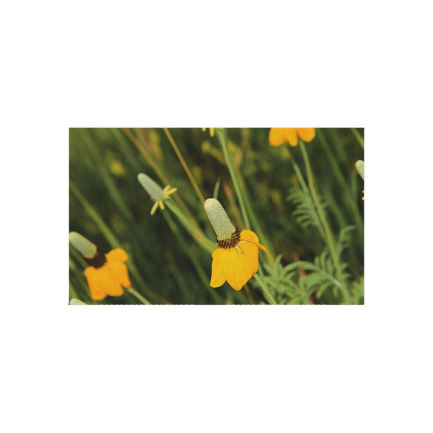 Yellow Wildflower Outdoor Rug — Floral Patio Mat for Porch & Garden