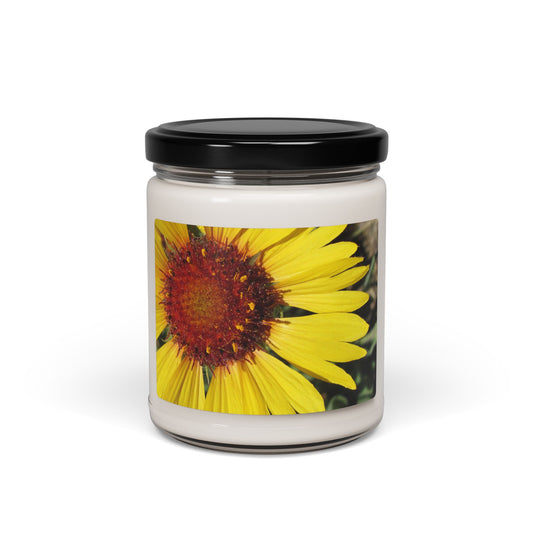 Sunflower ~ Scented Soy Candle — 9oz Jar Candle
