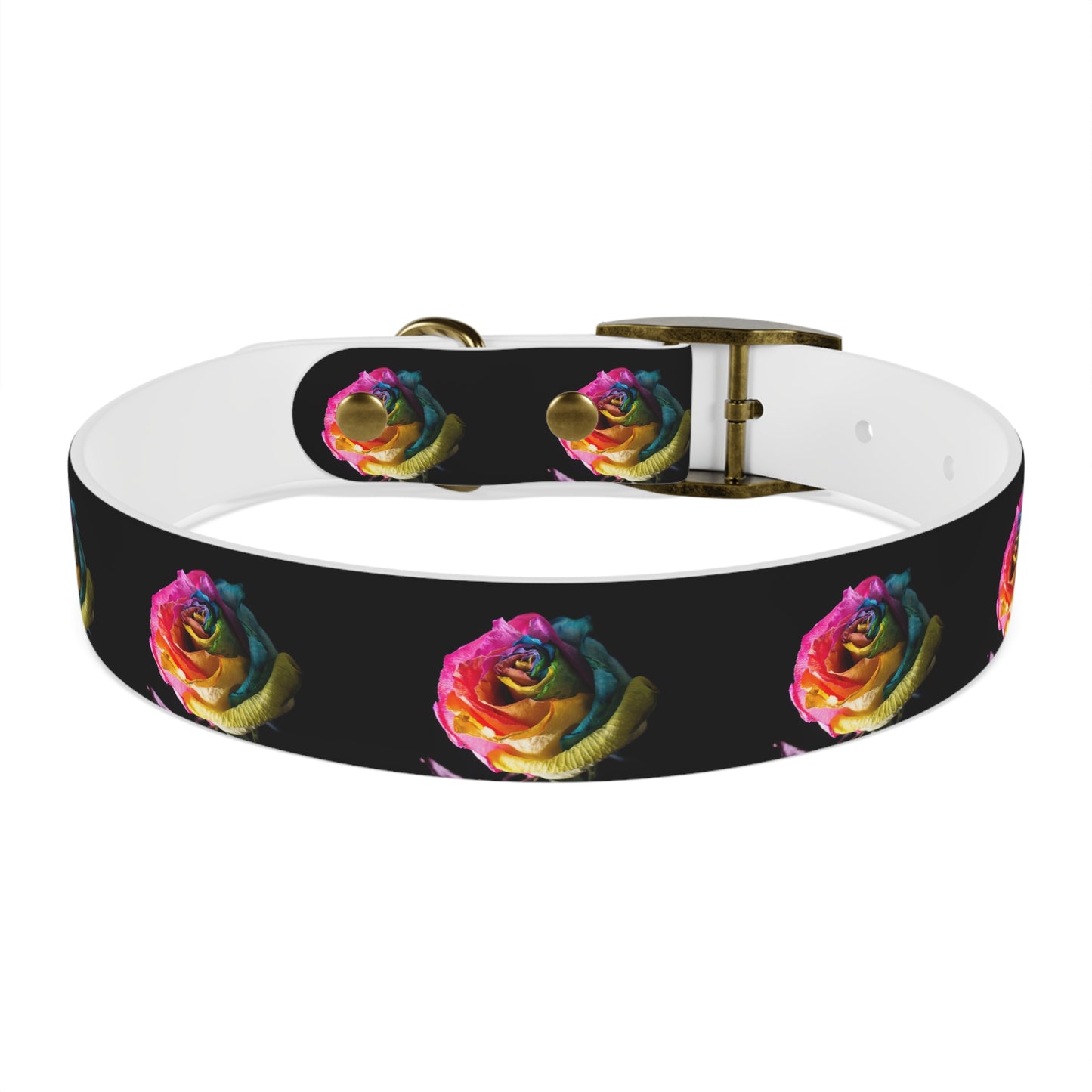 Rainbow Rose Dog Collar — Colorful Floral Pet Collar on Black