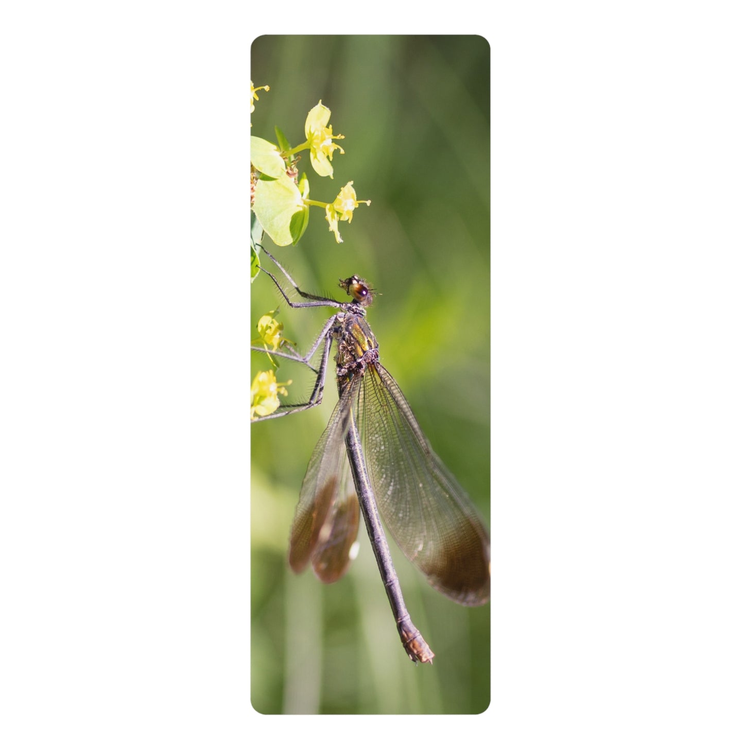 Dragonfly Close-Up Rubber Yoga Mat — Nature-Inspired Eco Travel Mat