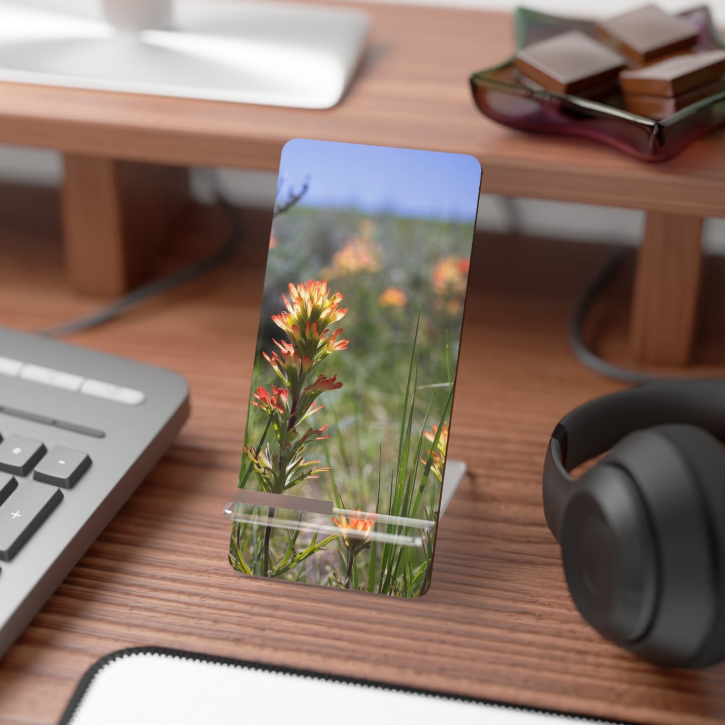Phone Stand — Indian Paintbrush Smartphone Display Stand