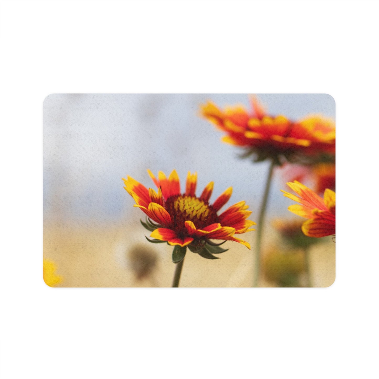 Floral Sunrise Pet Food Mat (12x18)