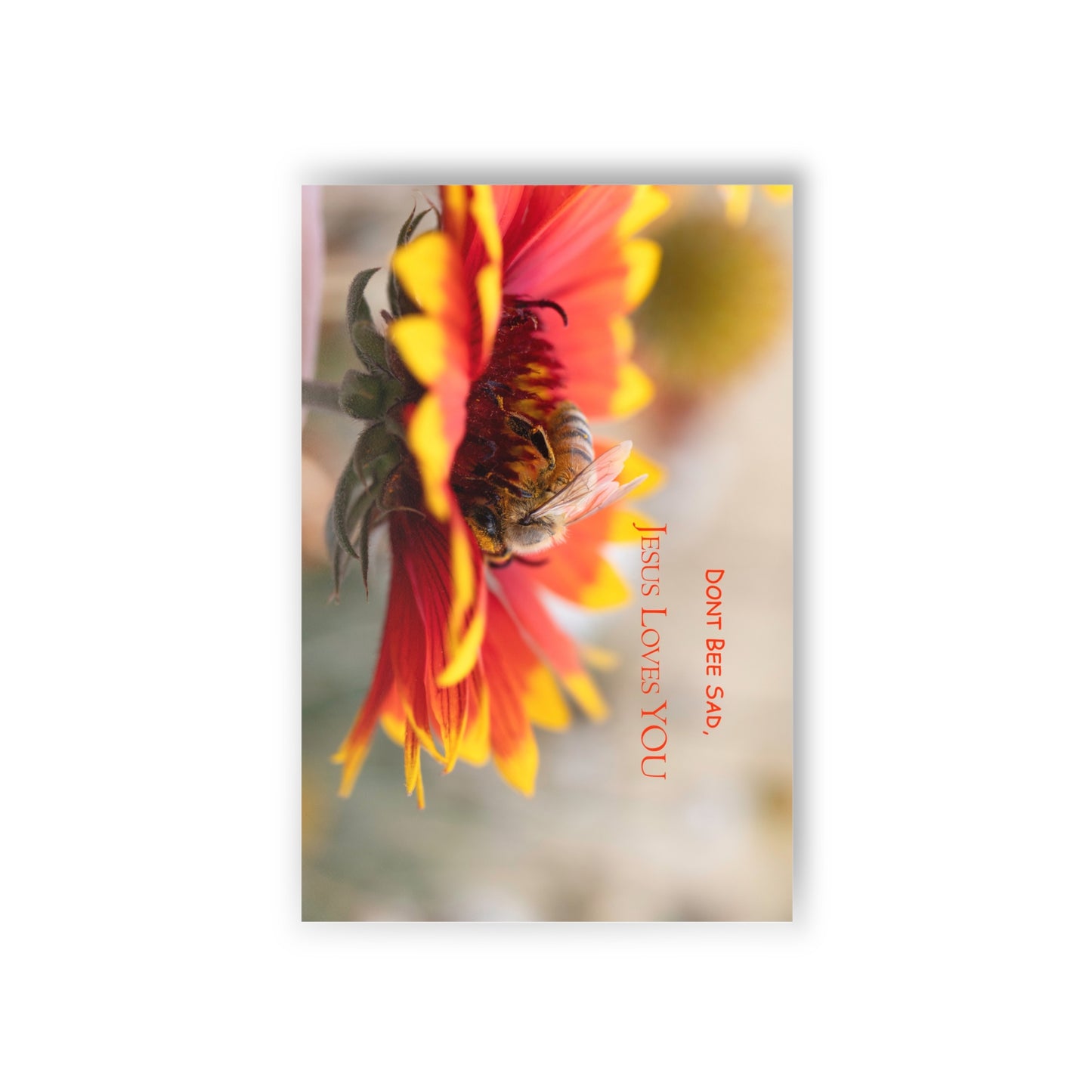 Postcards (10-Pack) — Bee on Flower "Jesus Loves You" Inspirational Greeting Cards