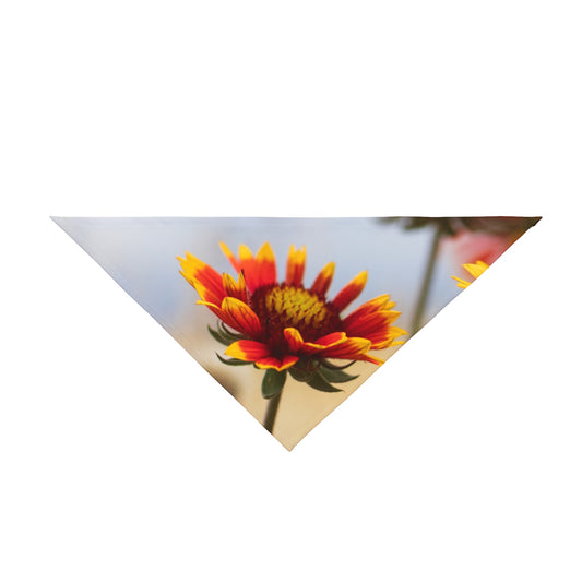 Floral Sunburst Pet Bandana — Yellow Red Gaillardia Dog Scarf