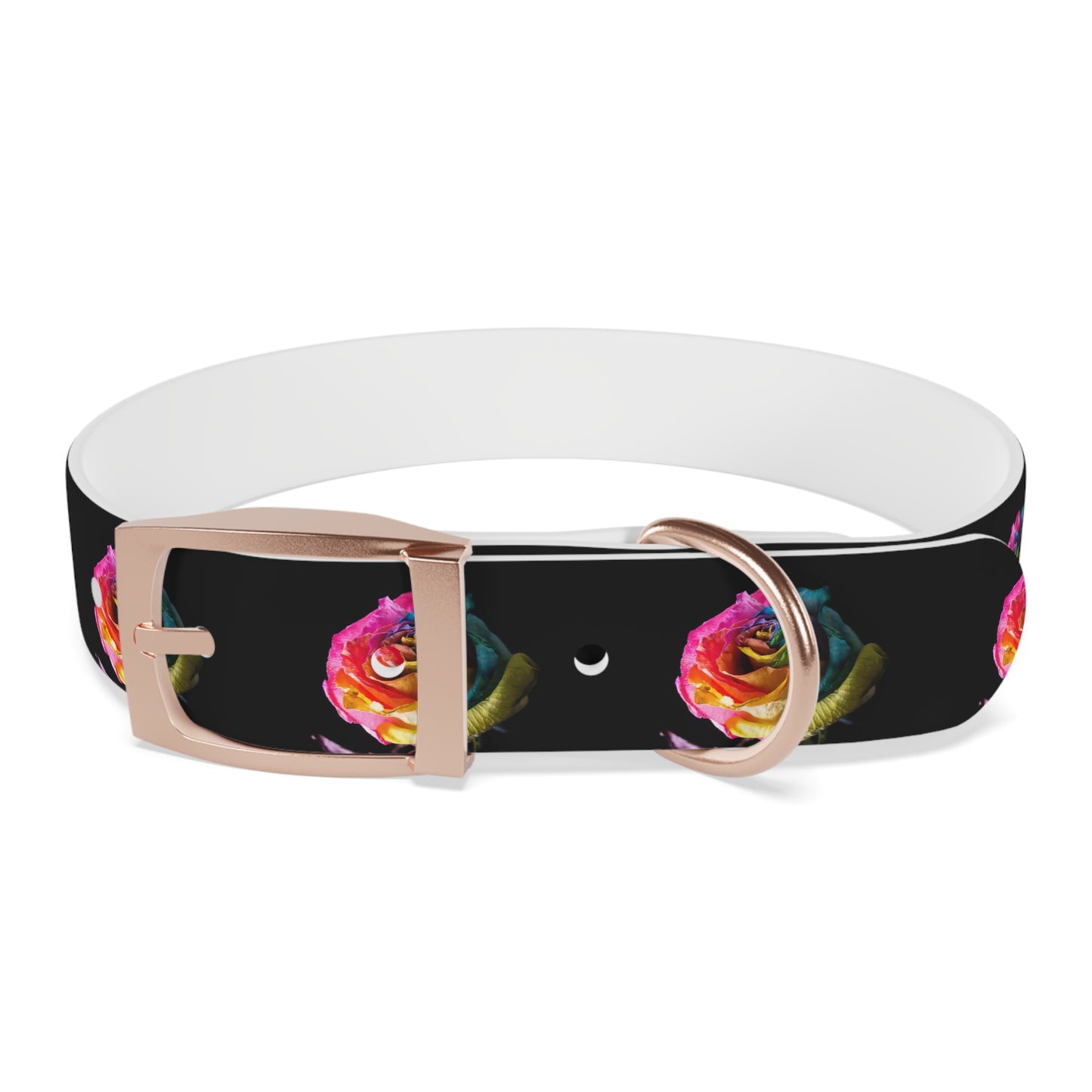 Rainbow Rose Dog Collar — Colorful Floral Pet Collar on Black
