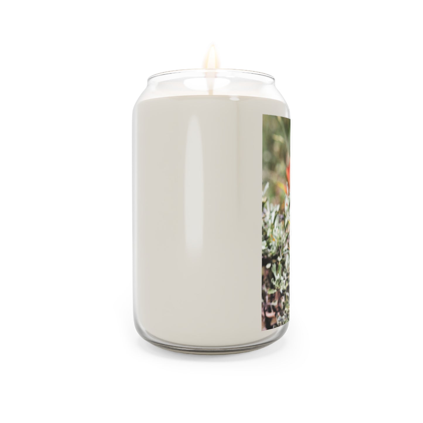Indian Paintbrush ~ Scented Soy Candle — 13.75oz