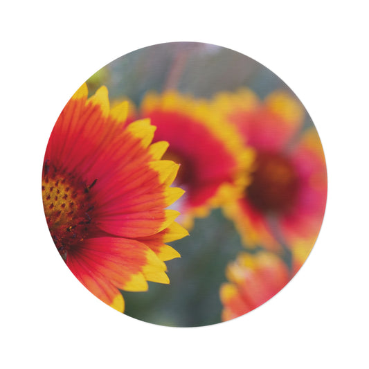 Round Floral Rug — Vibrant Gaillardia Garden Accent Rug
