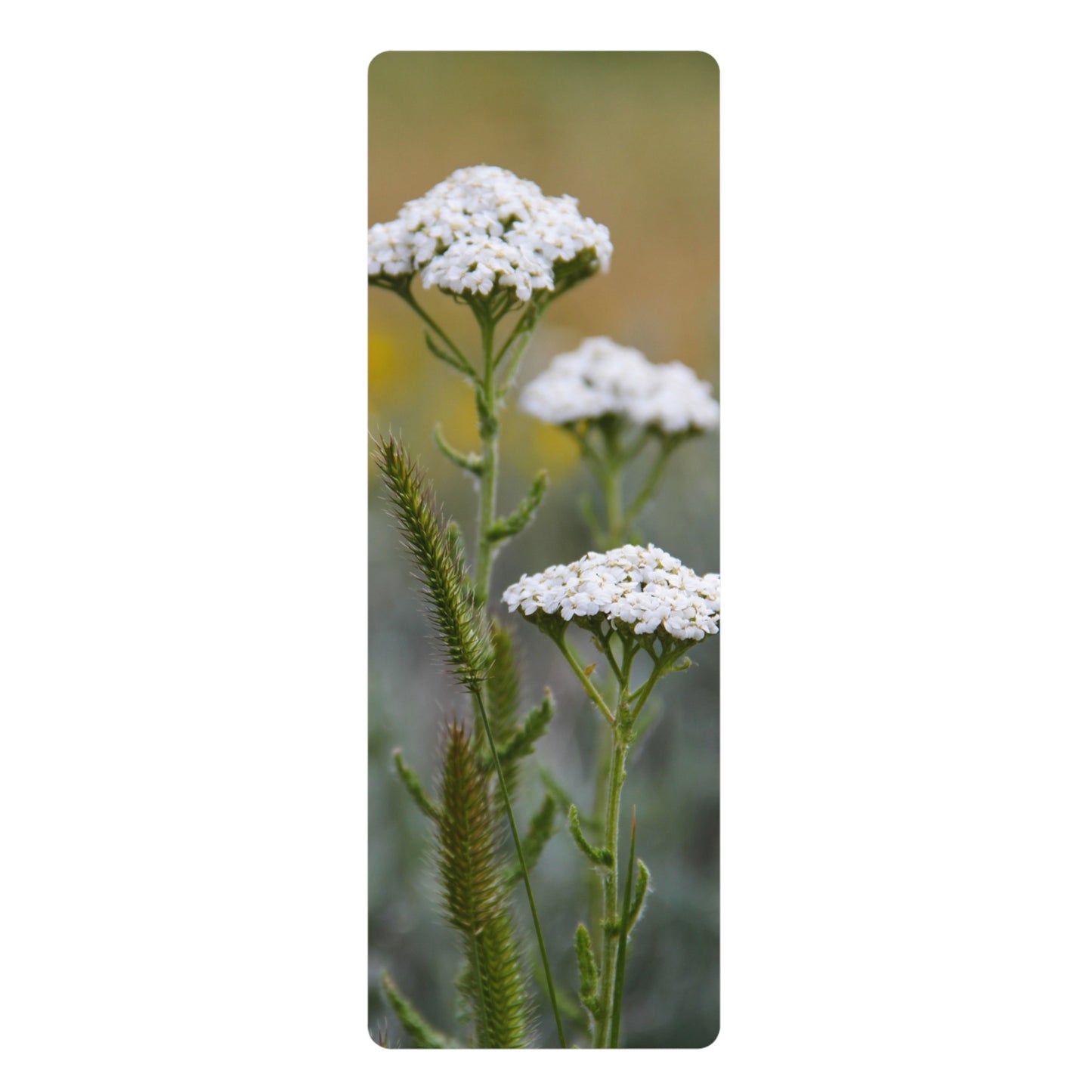 Wildflower Rubber Yoga Mat — White Yarrow Botanical Design
