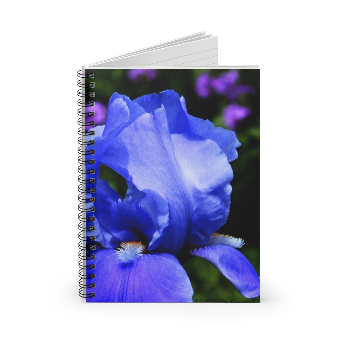 Blue Iris Spiral Notebook – Floral Ruled Journal for Botanists & Gardeners