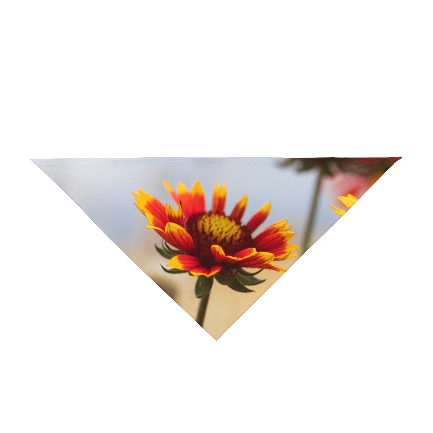 Floral Sunburst Pet Bandana — Yellow Red Gaillardia Dog Scarf