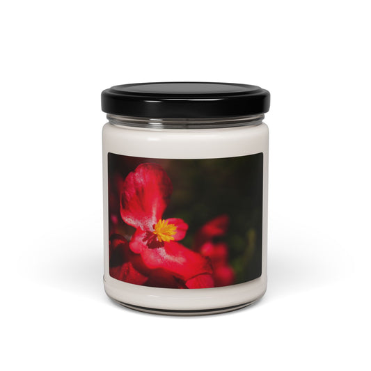 Floral Red Begonia ~ Scented Soy Candle — 9oz Jar