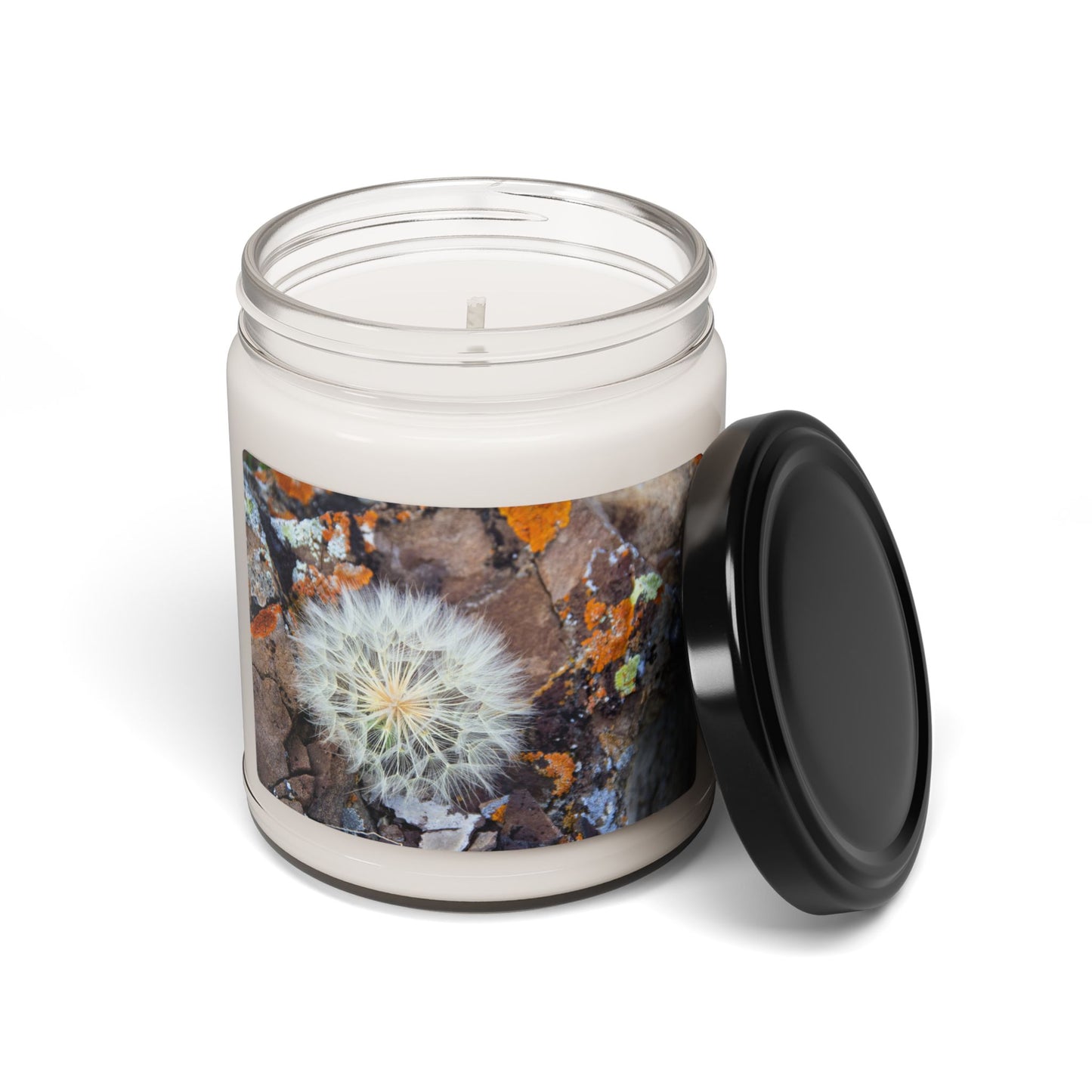 Dandelion & Earth ~ Scented Soy Candle — 9oz Jar