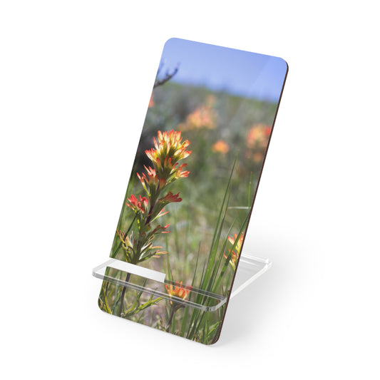 Phone Stand — Indian Paintbrush Smartphone Display Stand