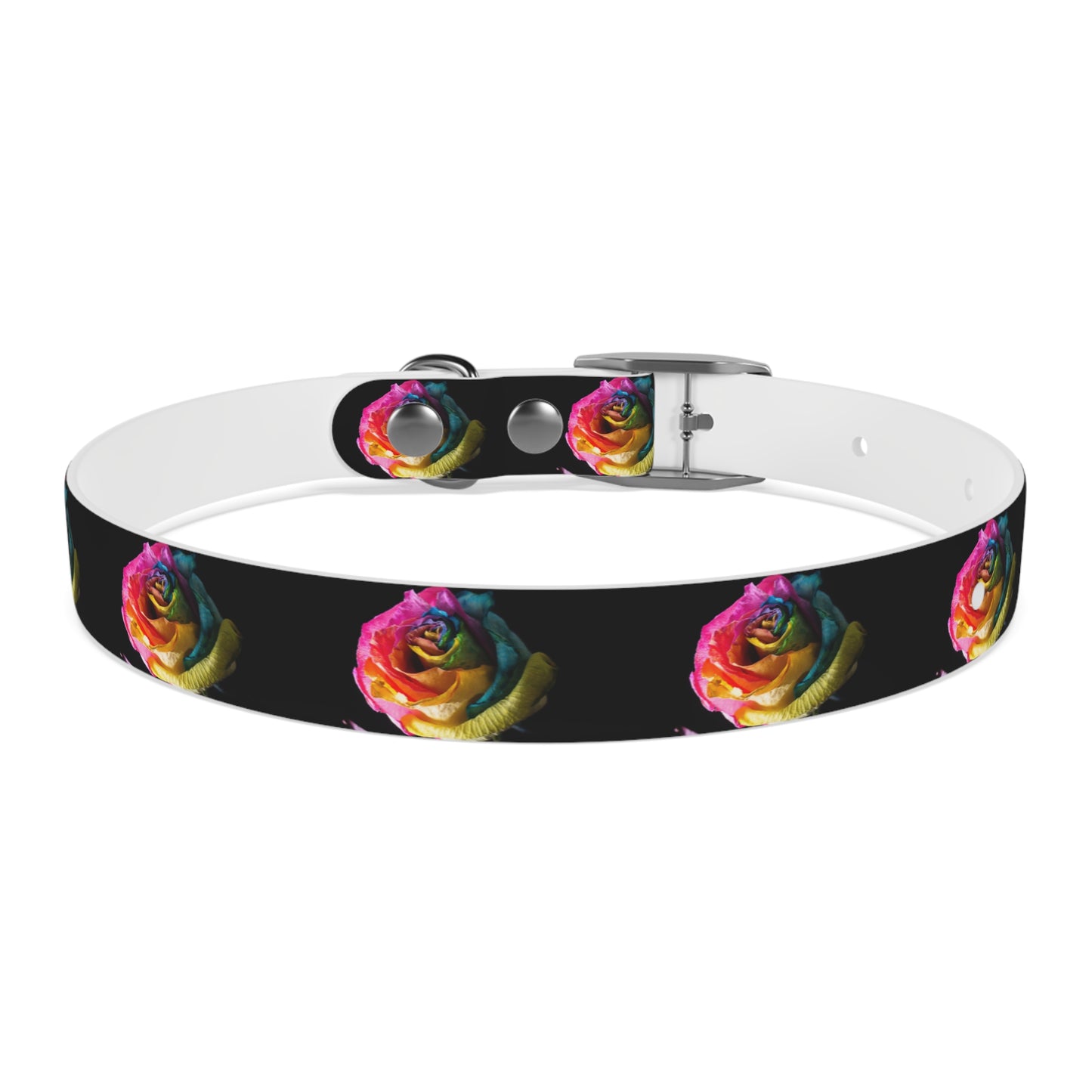 Rainbow Rose Dog Collar — Colorful Floral Pet Collar on Black